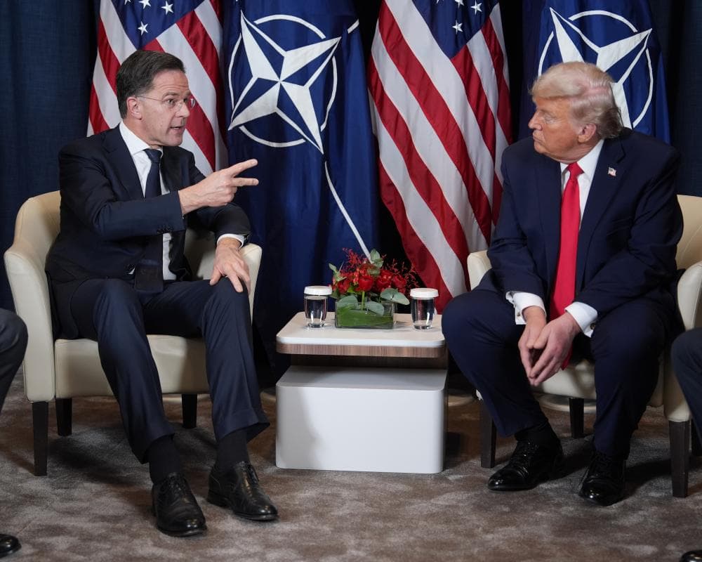 The image of the article.