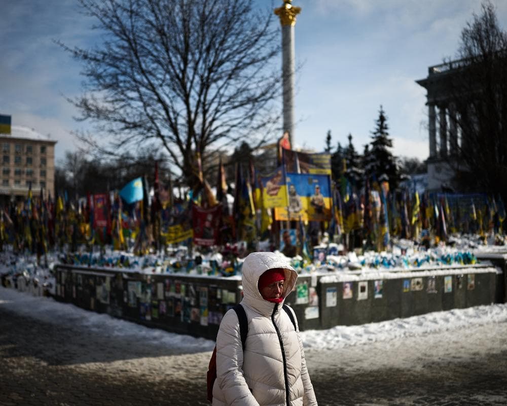 The image of the article.