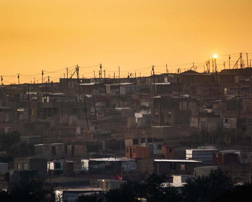 The image of the article.