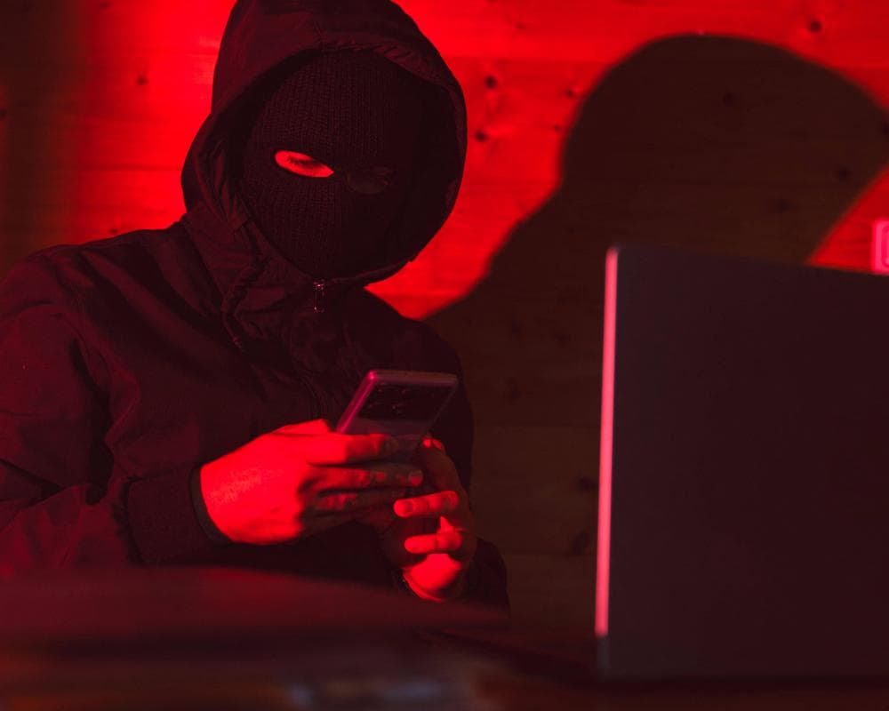 The image of the article.