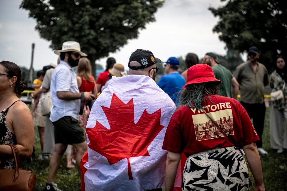 The image of the article.