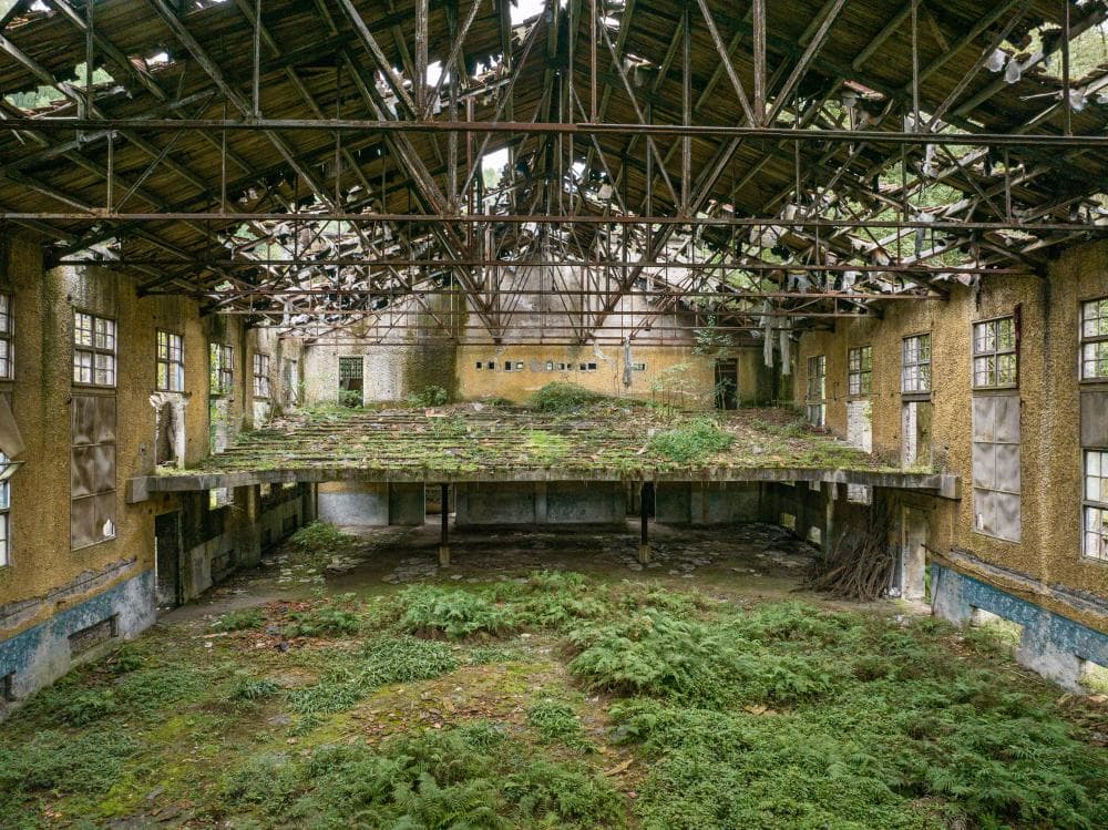 The image of the article.